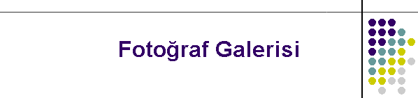 Foto�raf Galerisi